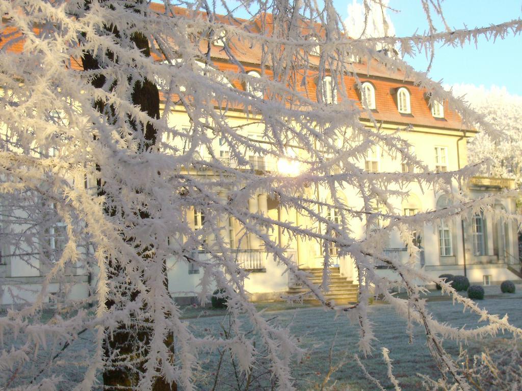 Hotel Schloss Storkau Екстер'єр фото